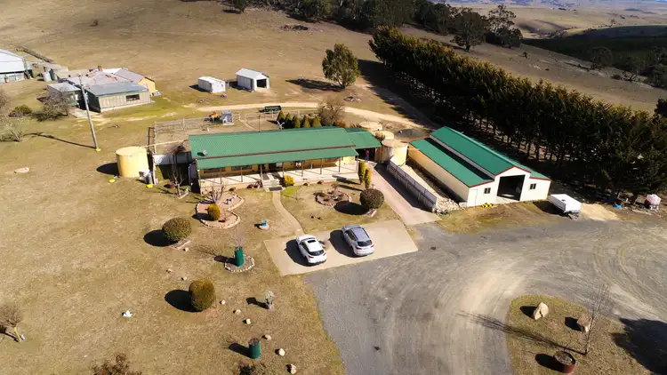 Sixth view of Homely rural property listing, 343 Gunningrach Road, Bombala NSW 2632