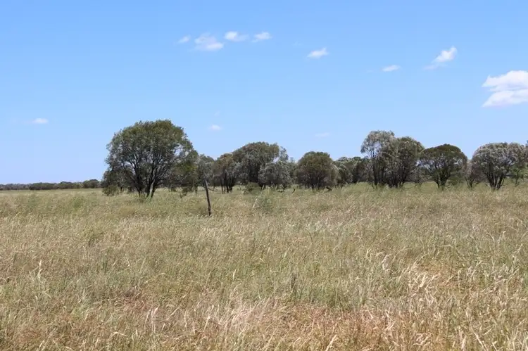 Sixth view of Homely rural property listing, "Cattle Creek" Diamond Downs Road, Clermont QLD 4721
