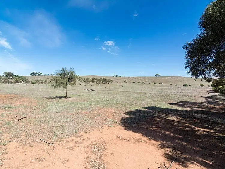 Third view of Homely rural property listing, 56 Hollamby Road, Callington SA 5254