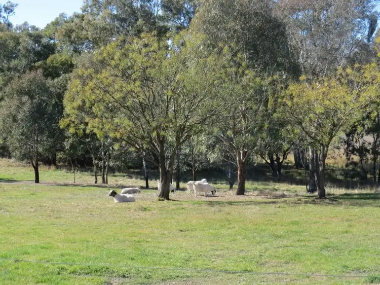 Fourth view of Homely rural property listing, 3710 Frogmore Road, Hovells Creek NSW 2794