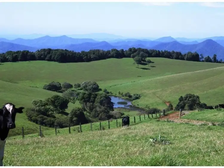 Sixth view of Homely rural property listing, 5287 Waterfall Way, Dorrigo NSW 2453