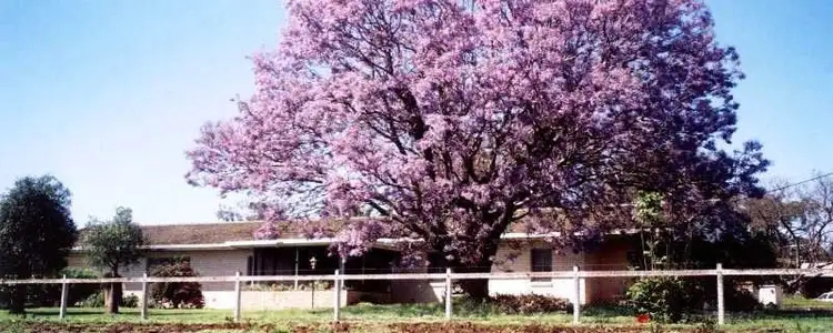 Seventh view of Homely rural property listing, Address available on request