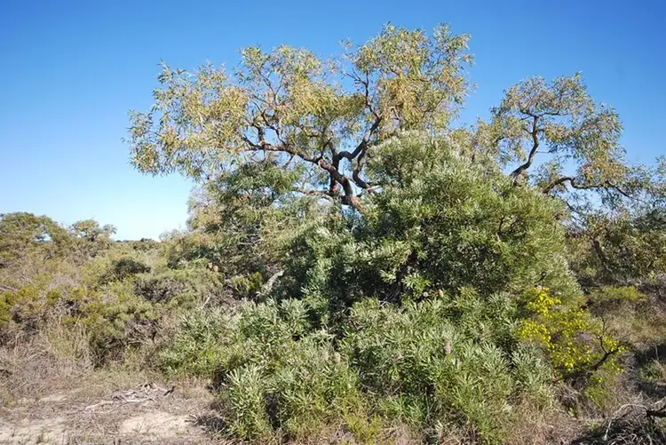 Fourth view of Homely land listing, Lot 242 Zendora Road, Jurien Bay WA 6516