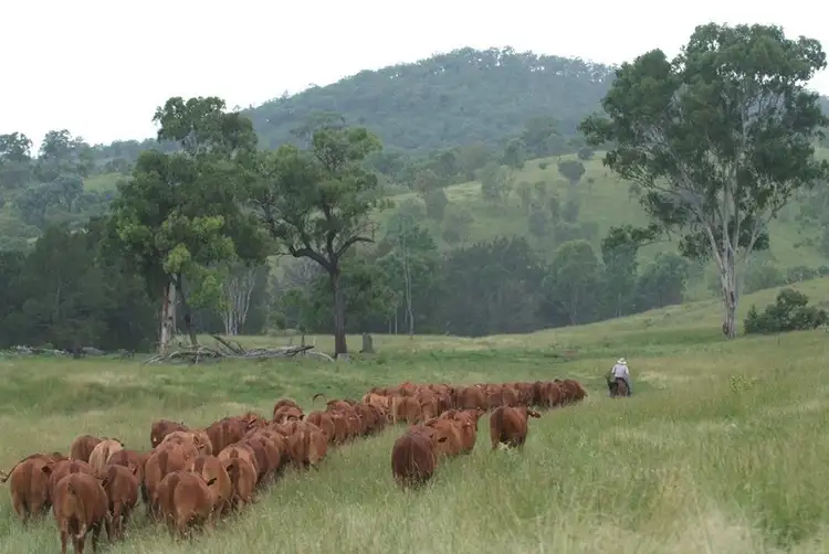 Sixth view of Homely rural property listing, Address available on request