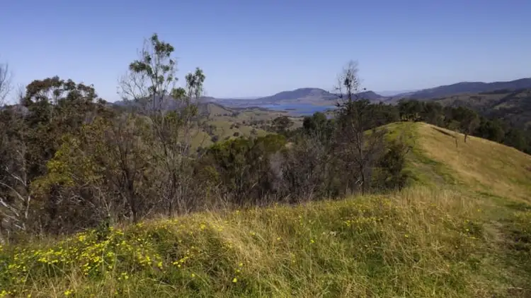 Main view of Homely rural property listing, Off Carrowbrook Road, Singleton NSW 2330