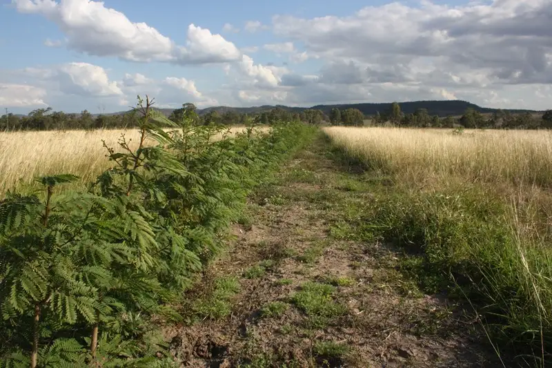 Main view of Homely rural property listing, "Washpool" Washpool Road, Gayndah QLD 4625
