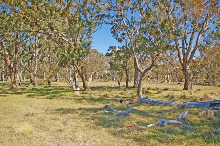 Sixth view of Homely rural property listing, 8246 Kings Highway, Manar NSW 2622