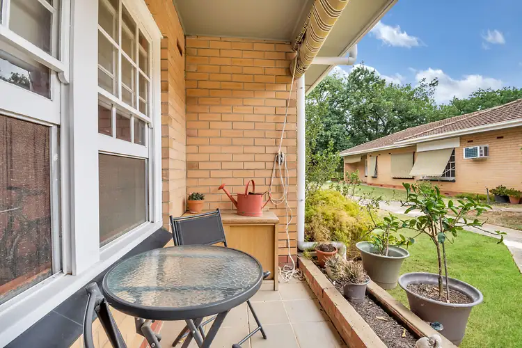 Sixth view of Homely unit listing, 3/53 Alexandra Avenue, Rose Park SA 5067