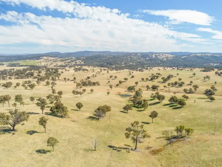 Seventh view of Homely rural property listing, Bellbrook 885 Warrane Road, Armidale NSW 2350