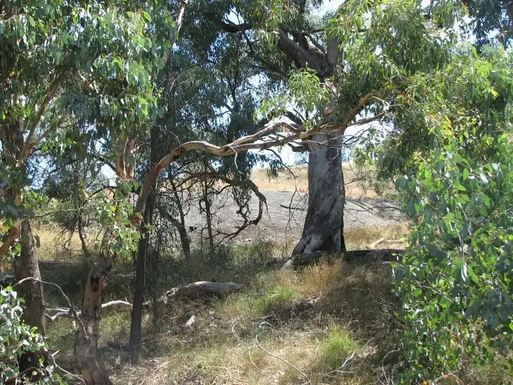 Third view of Homely rural property listing, Lot 10/104 Lachlan Waters Road, Wyangala NSW 2808