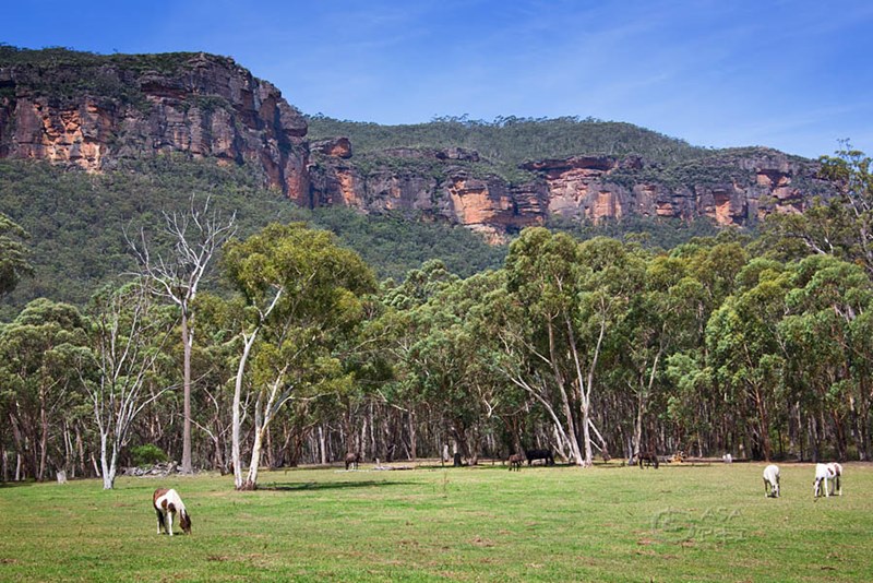 Second view of Homely house listing, 829 Megalong Road, Megalong NSW 2785
