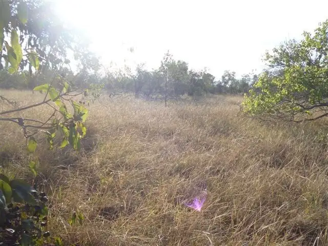 Fourth view of Homely land listing, 50 Wandoo Road, Katanning WA 6317