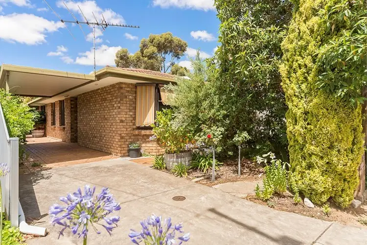 Main view of Homely house listing, 24 Panter Street, Willaston SA 5118