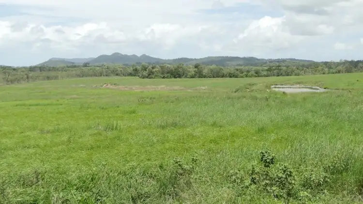 Sixth view of Homely rural property listing, 940 Mt Ossa-Seaforth Road, Seaforth QLD 4741