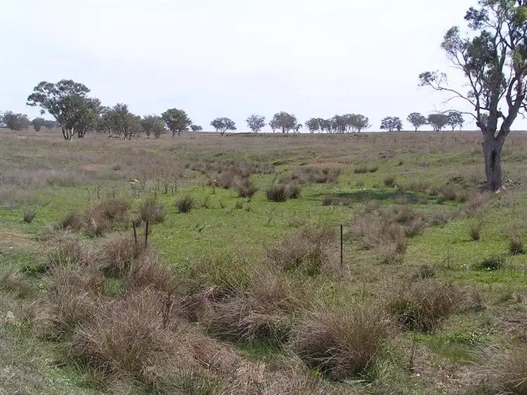 Fourth view of Homely rural property listing, "Ngali Park" 709 Duri - Dungowan Road, Tamworth NSW 2340