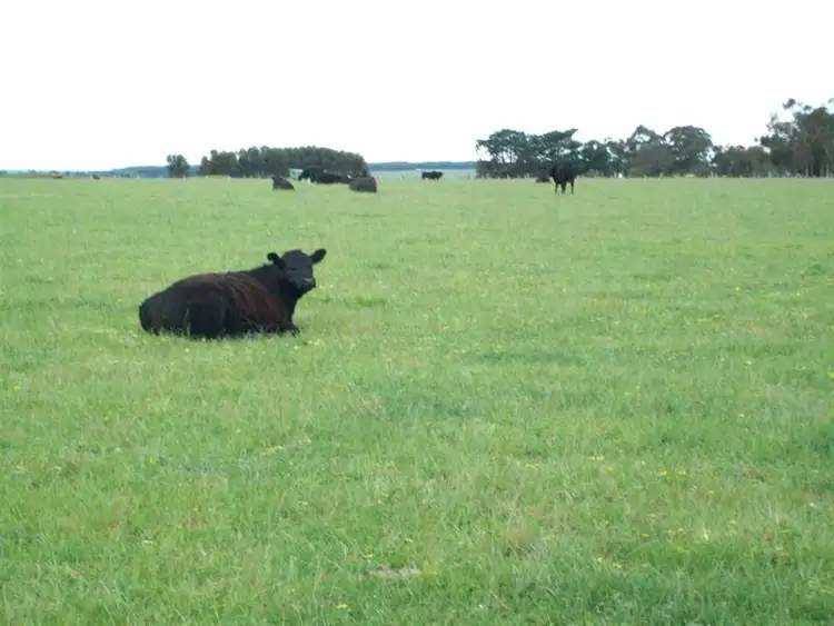 Seventh view of Homely rural property listing, 57 School Road, Wallacedale VIC 3303