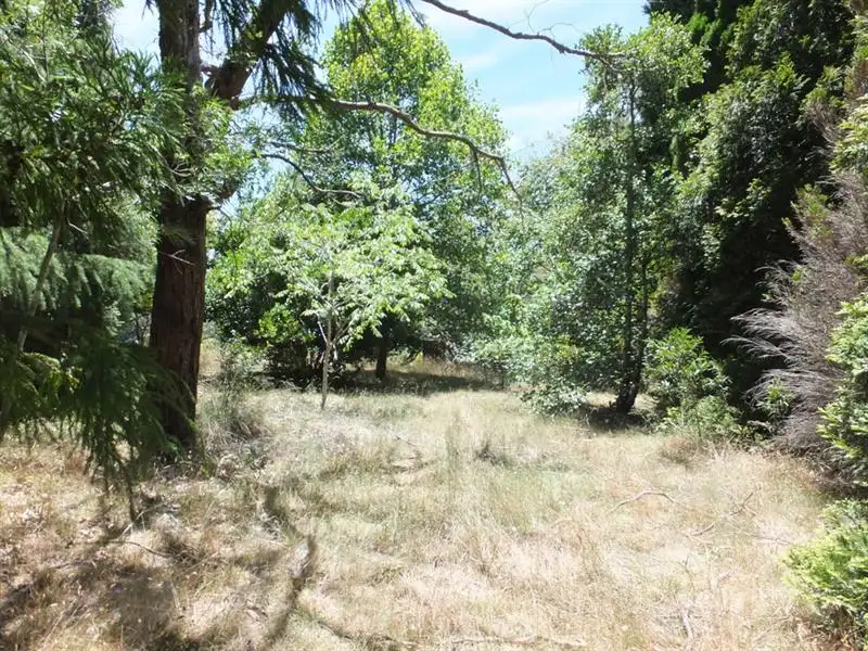 Main view of Homely land listing, 24 Sylvania Street, Mount Victoria NSW 2786