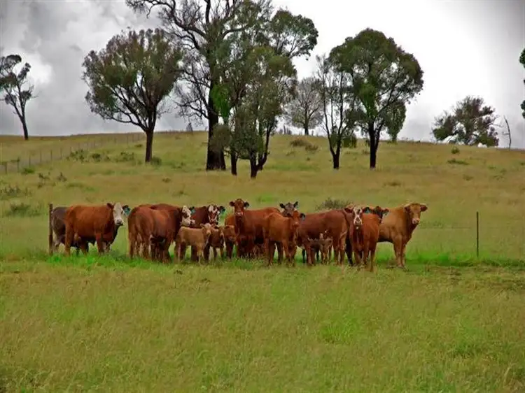 1892 Fish River Road, Narrawa NSW 2583