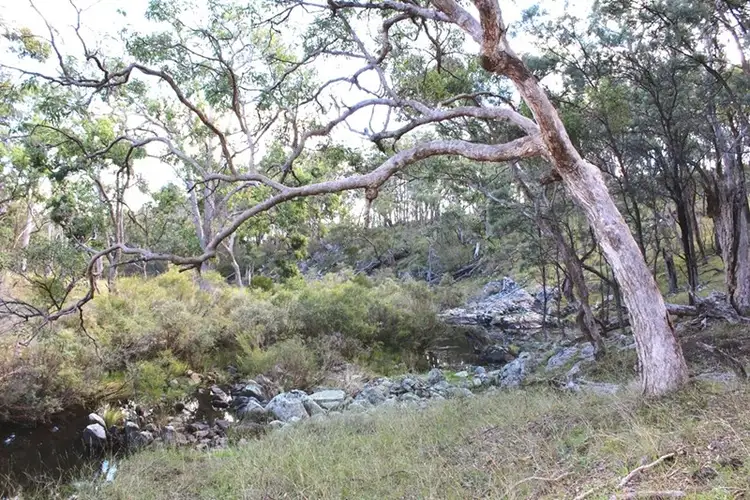Sixth view of Homely rural property listing, 21727 New England Highway, Dalveen QLD 4374