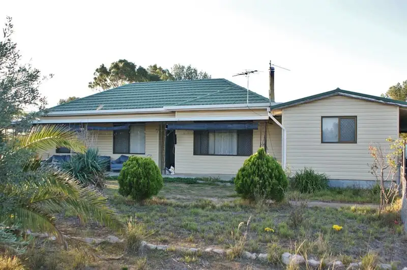 Main view of Homely house listing, 320 Lomandra Road, Tailem Bend SA 5260