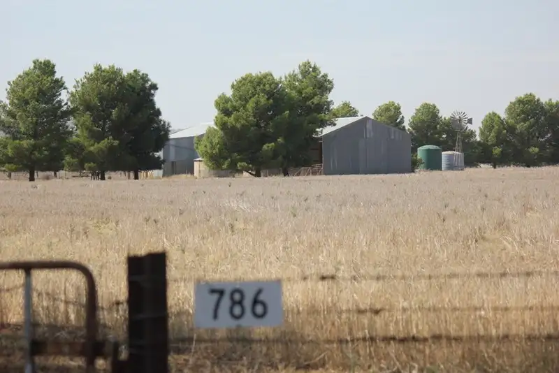 Main view of Homely rural property listing, 273 Coolamon Road, Wagga Wagga NSW 2650