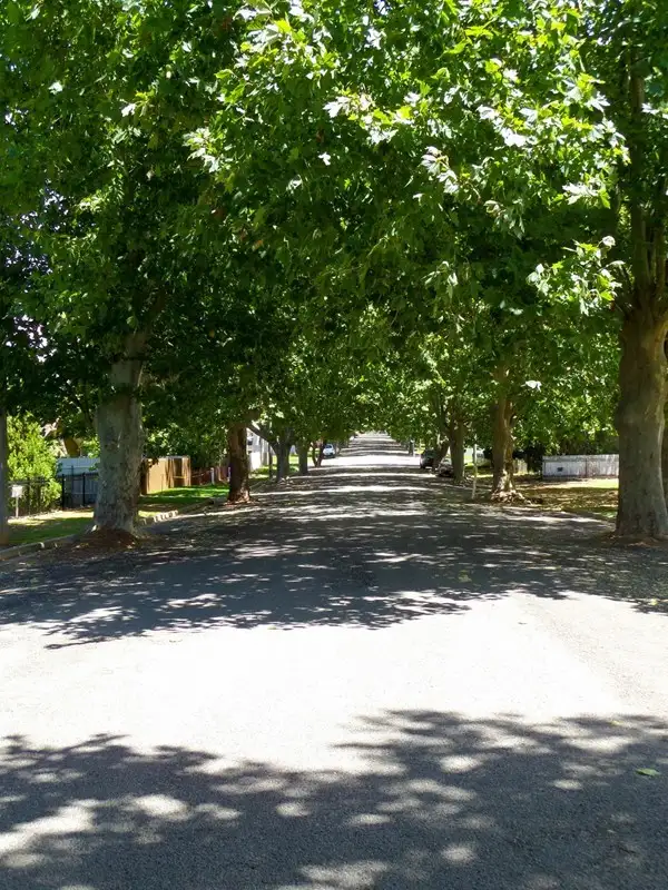 Third view of Homely house listing, 11 Chantilly Street, Narrandera NSW 2700