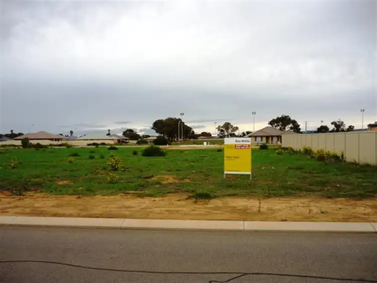 19 Donegal Street, Utakarra WA 6530