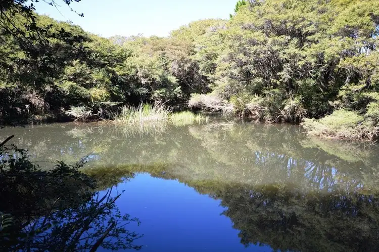 Third view of Homely land listing, Lot 13 Cavanaghs Road, Lowanna NSW 2450