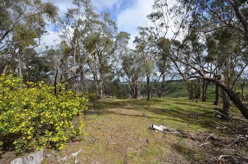 Main view of Homely land listing, CA37E and CA37F Piggoreet Road, Piggoreet VIC 3351