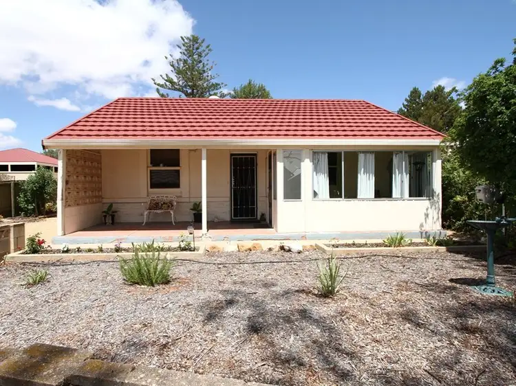 Main view of Homely house listing, 16 Third Street, Loxton SA 5333
