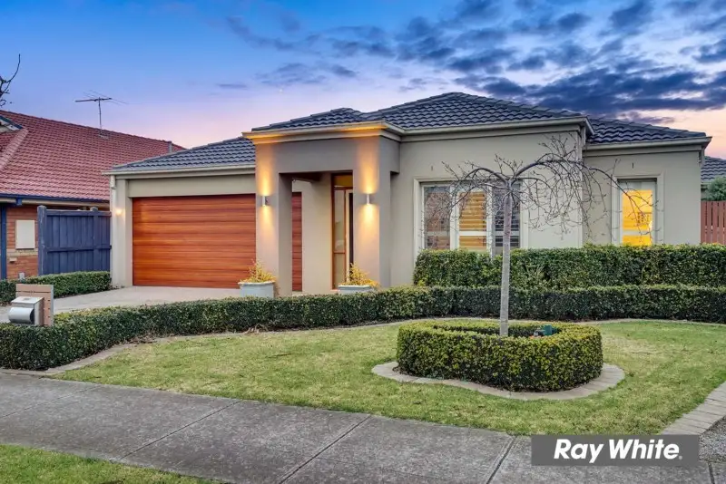 Main view of Homely house listing, 11 Solander Grove, Tarneit VIC 3029