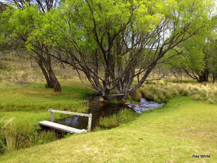 Fourth view of Homely rural property listing, 1896 Crow Valley, Captains Flat NSW 2623