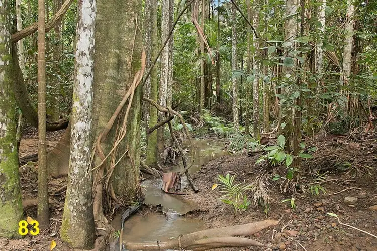 Seventh view of Homely land listing, 79 Sawreys Road, Mons QLD 4556