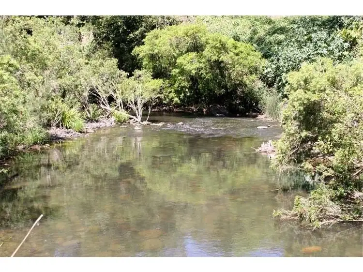 Fifth view of Homely rural property listing, 1280 Tyalgum Road, Tyalgum NSW 2484