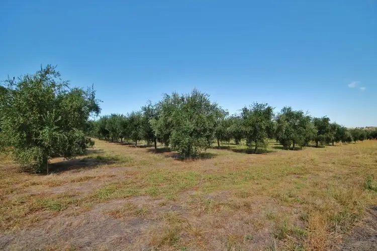 Fourth view of Homely land listing, 927 Monteagle Stock Route East, Monteagle via, Young NSW 2594