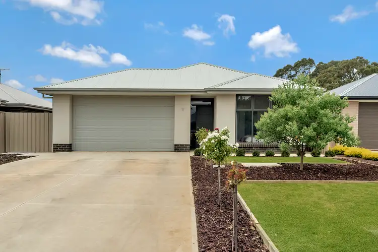 Main view of Homely house listing, 11 Fairbrother Circuit, Nuriootpa SA 5355