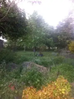 Sixth view of Homely rural property listing, 80 Glenmore Road, Braidwood NSW 2622