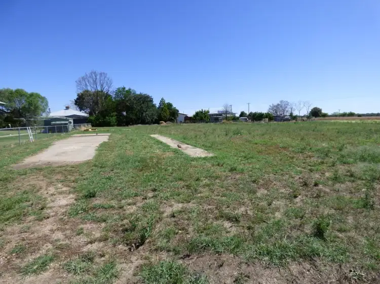 3 Cowildi Street, Dirranbandi QLD 4486