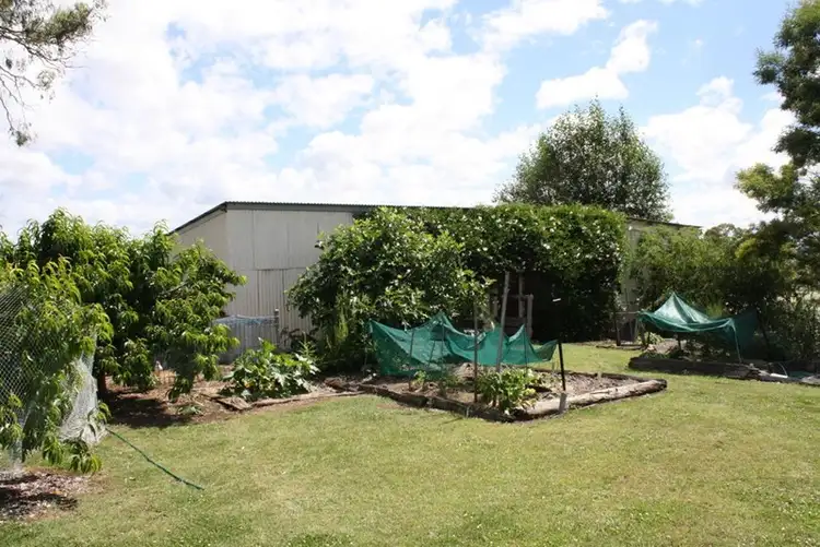 Fifth view of Homely house listing, 317 Grafton, Glen Innes NSW 2370