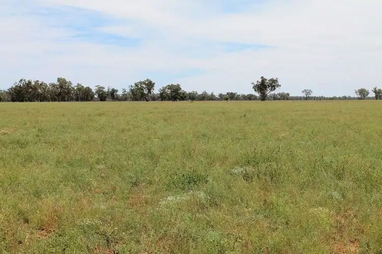 29351 Mitchell Highway, Charleville QLD 4470