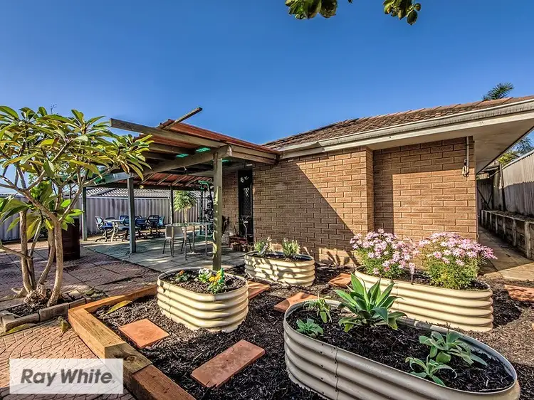 Main view of Homely house listing, 36 Dampier Loop, Mirrabooka WA 6061