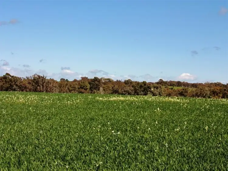 Sixth view of Homely land listing, Lot 94 Boundary Road, Young NSW 2594