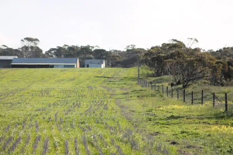 Fourth view of Homely rural property listing, Sec 10 and Lot 2 Hundred of Dixson, Port Neill SA 5604
