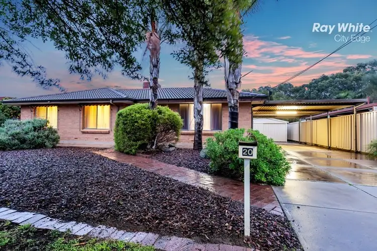 20 Brian Grove, Paradise SA 5075