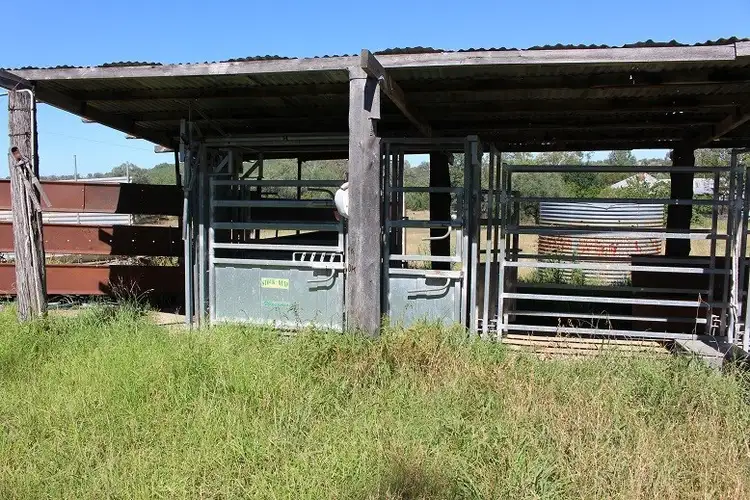 Third view of Homely rural property listing, 733 Upper Whitlow Road, Bingara NSW 2404