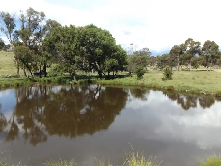 Sixth view of Homely rural property listing, 849 New England Highway, Glen Innes NSW 2370