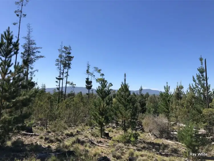 Seventh view of Homely rural property listing, Lot 94 Back Creek Road, Braidwood NSW 2622