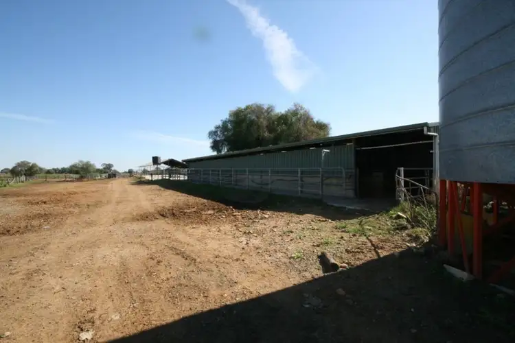 Second view of Homely rural property listing, "Dairy" 492 Bamawm Road, Bamawm VIC 3561