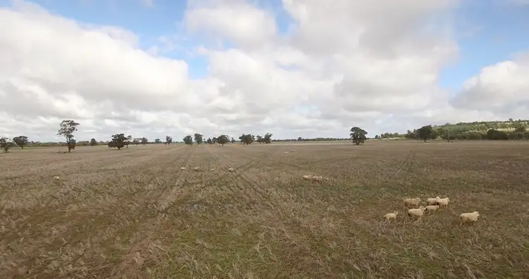 Second view of Homely rural property listing, 3493 Strontian Road, Narrandera NSW 2700
