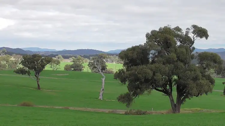Main view of Homely rural property listing, 1328 Jerangle Road., Bredbo NSW 2626